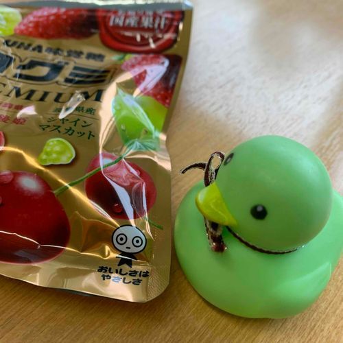 おめめまんまるのお友達見つけた　こんにちは〜