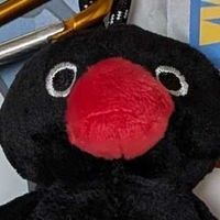 ﾋﾟﾝｸﾞｰ