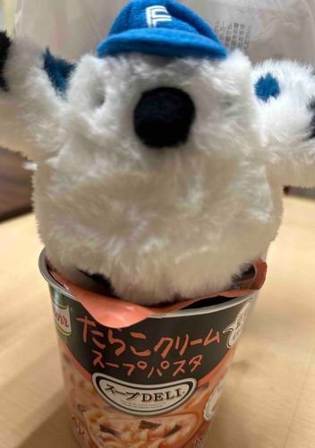 同居人の職場についてきたよ。昼休憩だ。ちょうど試合も始まったよ。がんばれふぁいたーず！
