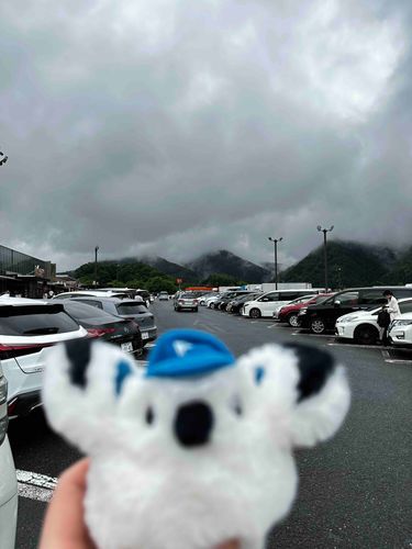 今日は同居人とドライブデート　同居人の特技はたまに手に入れた予定がない休みを雨にすることだよ！