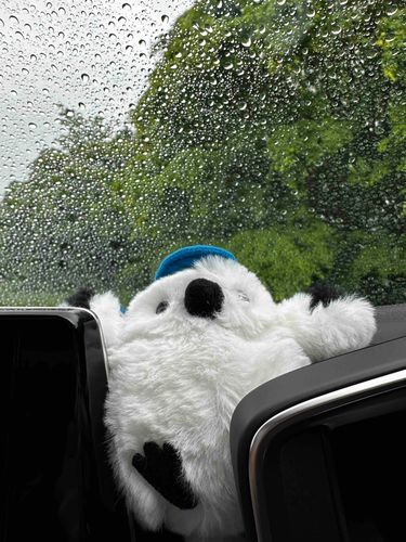 午後から雨止みます　の予報を信じて出発したのにまさかのさらに大雨。