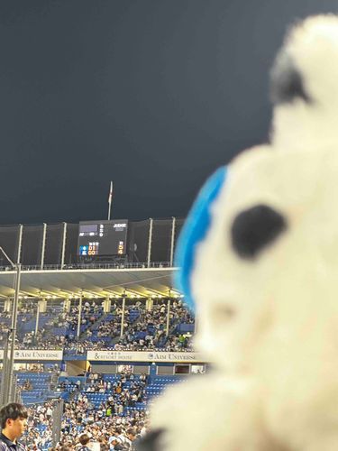 神宮戦行ってきたよ　ツバメ🆚シマエナガちゃん！！チャンスはあったけど点を取りきれず、延長11回　なんとか勝ちました　まずは初戦勝利　今日は気持ちよく勝ってー