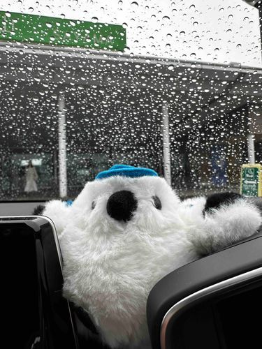 もういっつも同じ写真
今日もやっとの休みが雨　だけどドライブ　にきてみたものの雨だとカメラ使えない。。どうしよう　何しよう　計画性なし