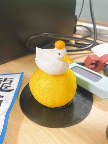 やっぱ秋のみかんだね〜🍊