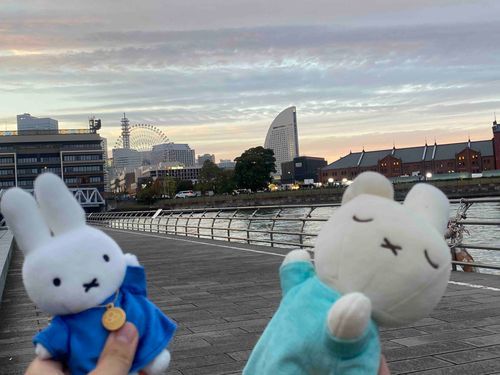 いい夕焼け〜🌆