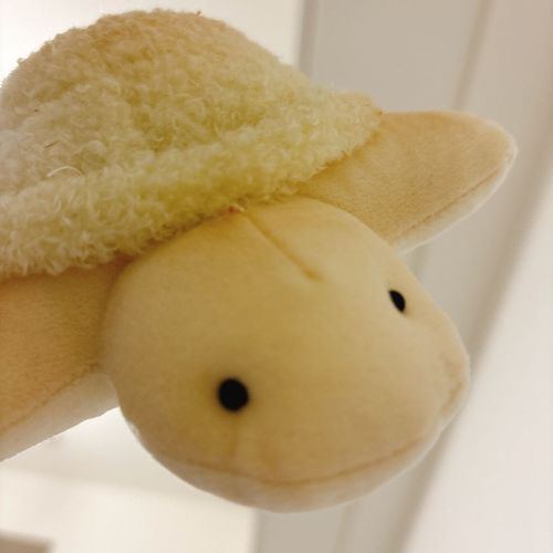 まだ寝てんのか❓