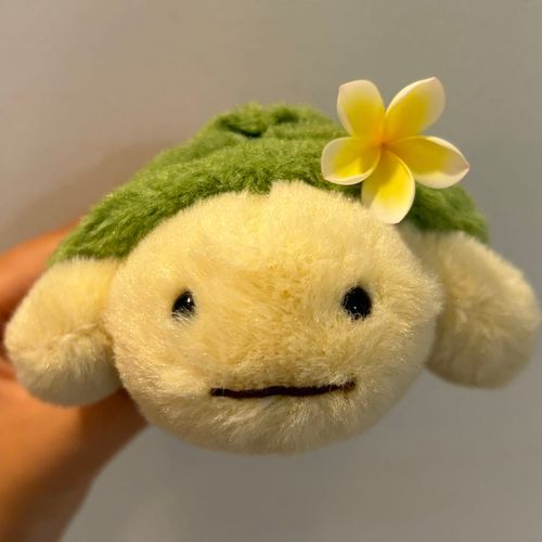 海が怖いかめ、プルメリアをあげても顔がこわばっている