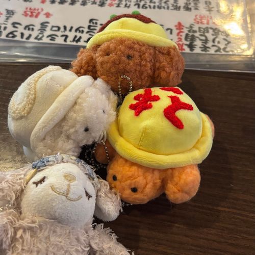 食べられるカメ❗️❗️❗️❗️❗️