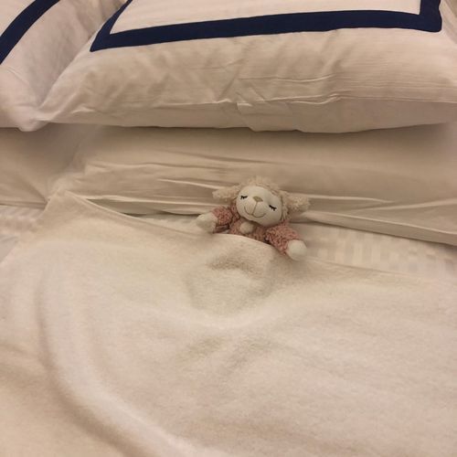 ホテルの清掃でタオルケットかけて寝かせてもらってたピンク
よかったね