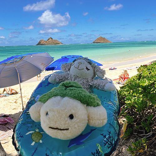 海へGO‼️🏖️