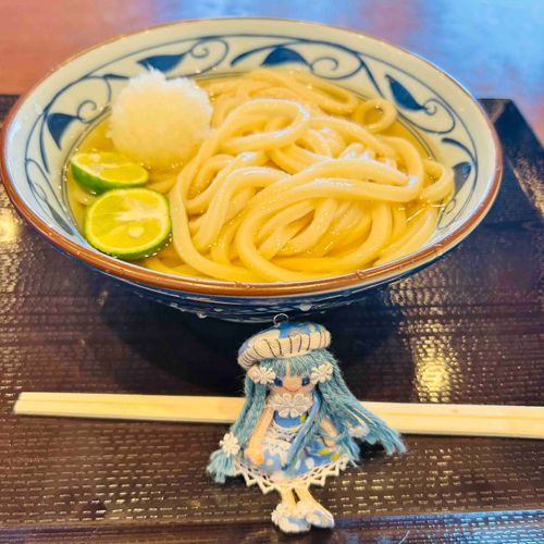 主たんが丸亀製麺のすだちおろしぶっかけうどんの大をたべたけど、まだたべれるって。すごい…しえるびっくり。
