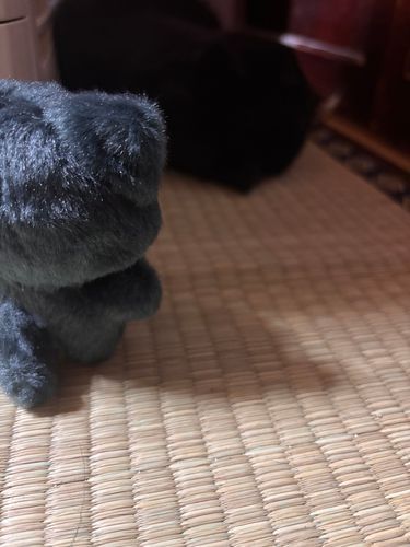 おや…？