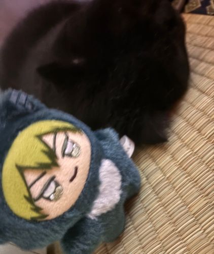 「でっかいのおるで！」

って報告しにきたかわいい直哉