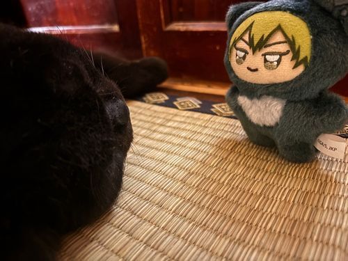 「あんなぁ…9月になると甚爾くんが来てくれるねん」と猫ちゃんにお話してる直哉
お迎えする予定が今のところない私「ア……」