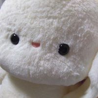 ゆきみちゃん