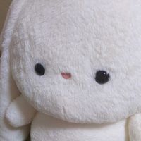 ゆきみちゃん