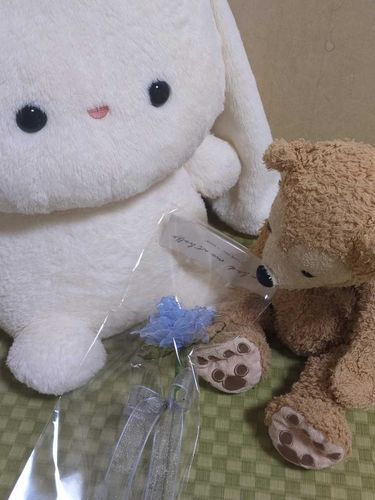 かいぬしさんが、でいっぷふらわー？でばらをつくったよ！
あおいばらのはなことばは、｢ゆめかなう｣だって🌹