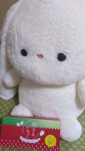 とちぎのおみやげ🍓？