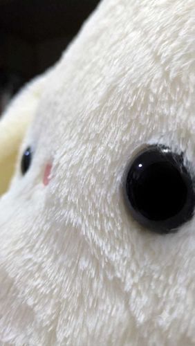 どでかうさちゃん