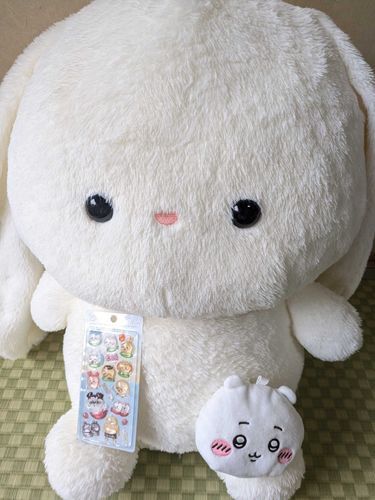 かいぬしさんはちいちゃんがすきみたい
うさちゃんはでかつよじゃないよ…！