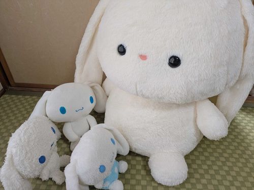 おなじおみみ！！