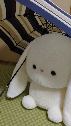 あしたもあめかな…☔？