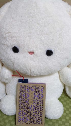 かいぬしさんがごしゅいんをはじめたみたい！うさちゃんのおねがいごともかなうかな‎🩷