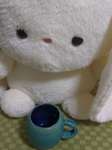 かいぬしさんがろくろでつくった
まぐかっぷなんだって！
あったかいおちゃいれてのみたいな