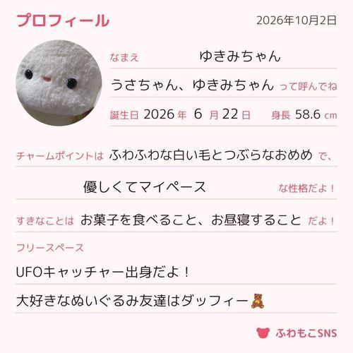 かいぬしさんがうさちゃんのぷろふぃーるをかいてくれたよ！