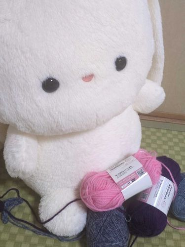 さいきんあみものをはじめたんだって！
うさちゃんはまふらーがほしいな🧣･*