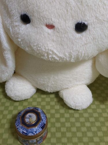 うえののおかしだって！
こうちゃのくっきーがはいってて
とってもおいしかった☕️‎🩷