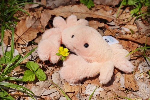 はる　の　ぽかめき
みつける　しごと