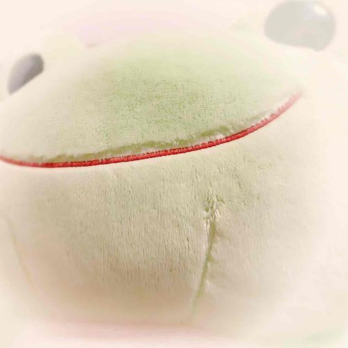我が家で一番大きな子♡
抱っこしたり寄り添ったり
周りにお友だちが盛り盛りになる時もあるよ♪