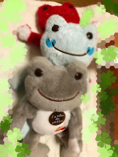 仲良しさんたち♪
赤い子はお名前が定まってませんが
バスケットボールの刺繍が入ってるからボールちゃん🏀etc
真ん中が もえちゃん
一番前がアイコンにもなってる かめいどちゃん

お写真見てくれてるフワフワさん達
みんな仲良くしてね♡