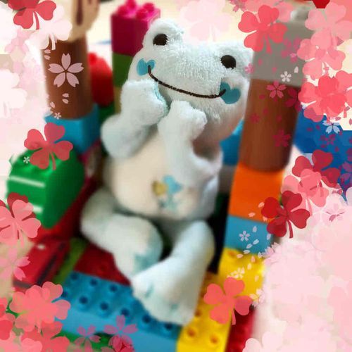 家族にお家を作ってもらった時の
もえちゃん♡
嬉しそう♪