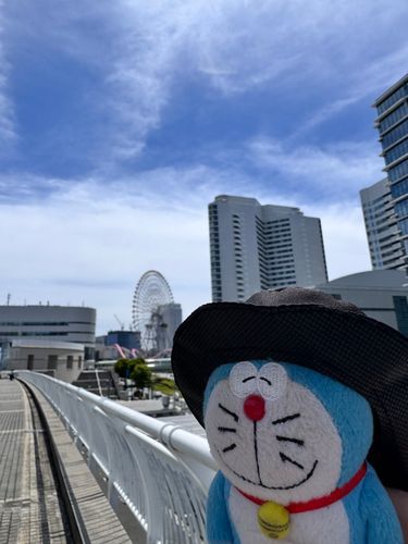今日は横浜をお散歩しているよ
とても良い天気でもう夏なんじゃないかってくらい暖かいね☀️