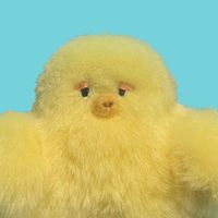 ひよちょ