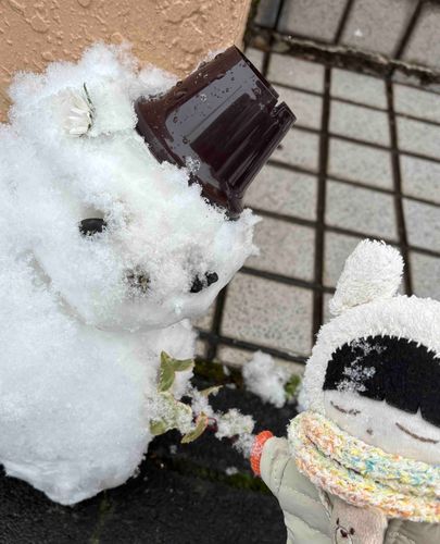 はじめまいて…ずと、あいたかったえす！！！
thank you☃🤝🧸はわわ