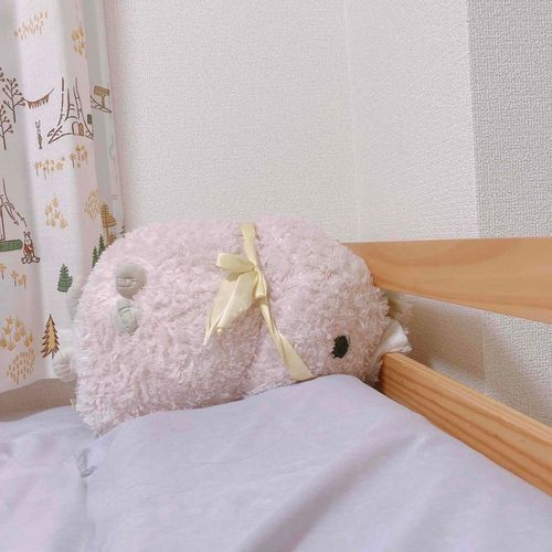 めしちかいがちゃんとぎゅーしてねないから、きょうのあさ、だいにゃんのあたまはさまっちゃったけど？？？
でも「かわいー」とかゆってしゃしんとってきた。