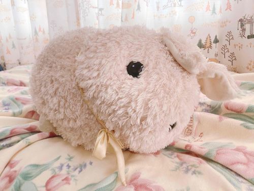 今日もめしちかいお出かけだからだいにゃんおるすばん。おふとんでごろごろすゆ。