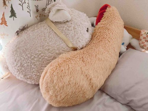 だいにゃんちね、もういっぴきなんかふえた。えびふらい。いっしょにねたらなんかべたべたする。