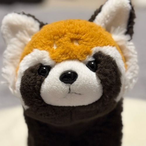 こめです。
ちゃうすやまどうぶつえんからきました。