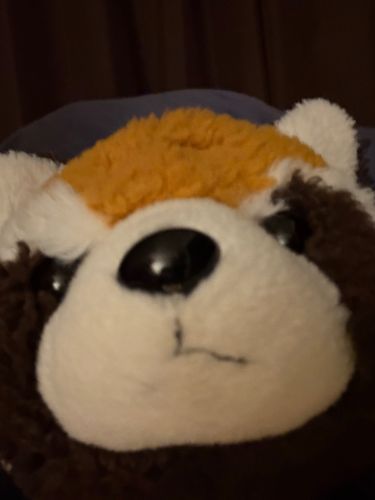 せるふぃっていうんだって