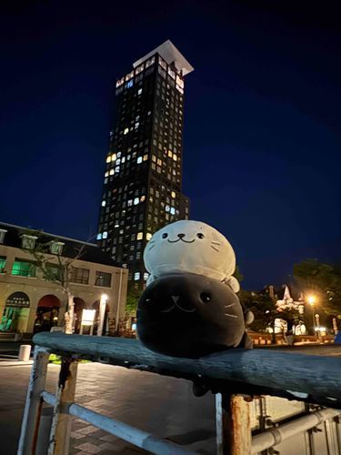 門司港レトロ展望台ってところ🏙️
夜景がとってもキレイだったの〜🌟