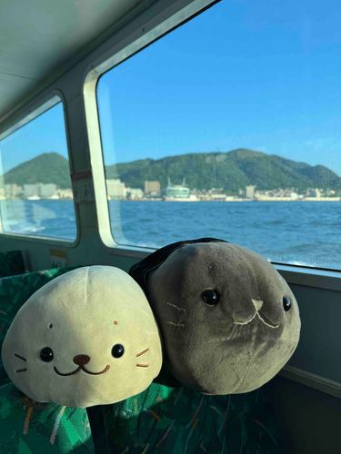 関門連絡船
海の男と女みたいでしょ〜🦭