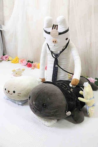 うちのクロヒラちゃんが
がんばって診察をうけてます🩺
いのの先生、やさしい看護師さん達に
囲まれて、すこしリラックスしているようです😊