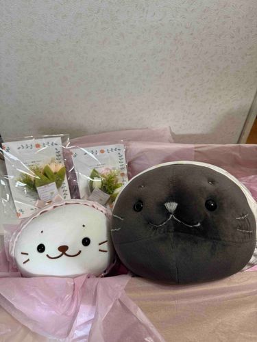 我が家の大切な家族が帰ってきました✈️
二カ月半よく頑張ったね🏥
これからもずーっと一緒だよ🤗