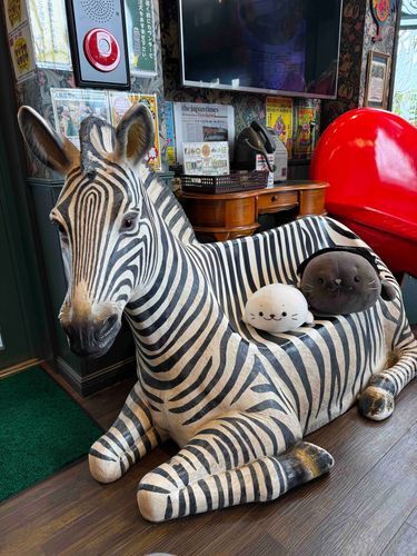 はこだてのゆーめー店で📸
なんかシマウマ🦓さん生きてるみたい〜