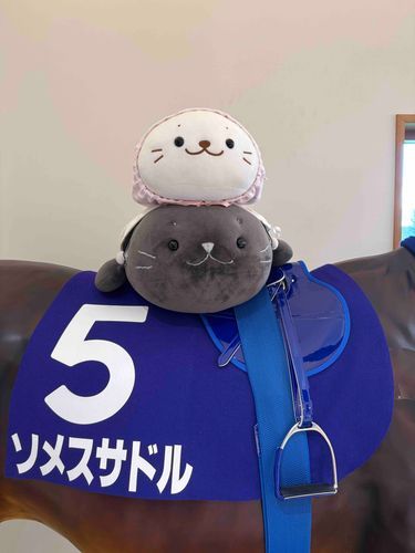 ソメスサドル砂川でお馬🎠さんに
跨がってパパしゃんに写真📸撮ってもらったの〜