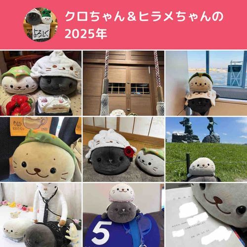 今年は病院に行ったりとして忙しい1年でした！後半はアップできなかったけど、来年はいろいろパパしゃんと旅をして写真を撮っていくわ🦭